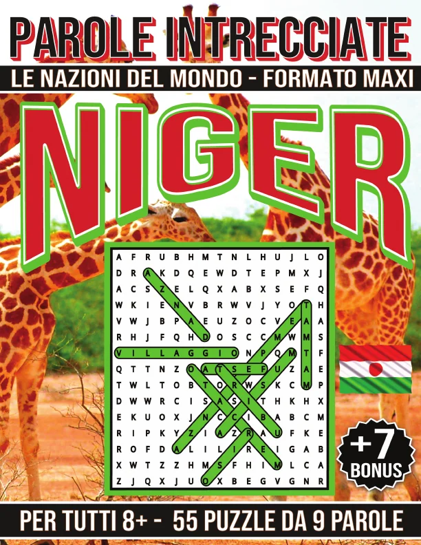 Copertina di Niger - Parole Intrecciate